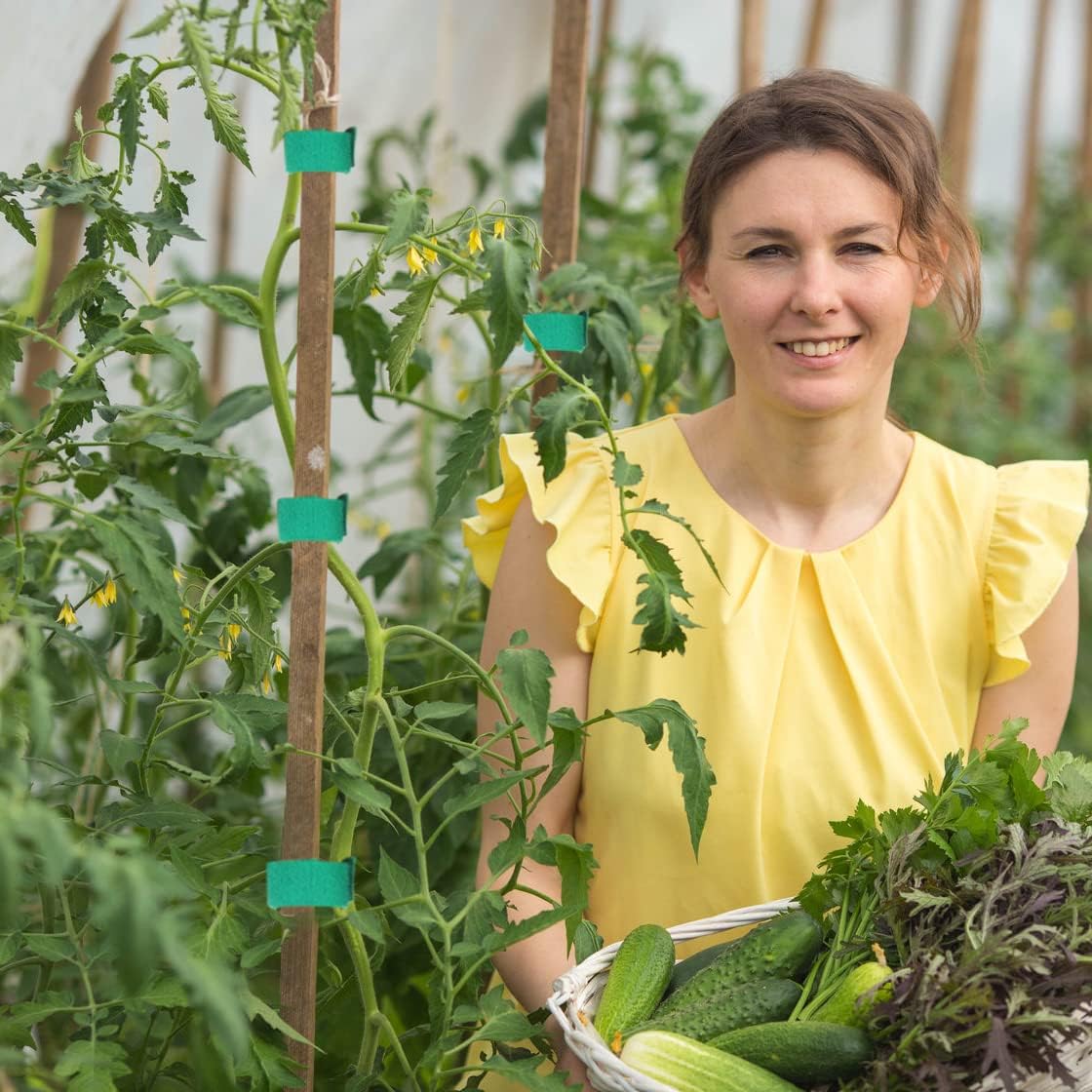 5 Rolls Garden Tie Green Tape - Twist Ties for Plants 1/2" 165ft Garden Plant Ties Soft and Tomato Plant Ties - Plant Twist Tie for Plant Gardening, Home, Office