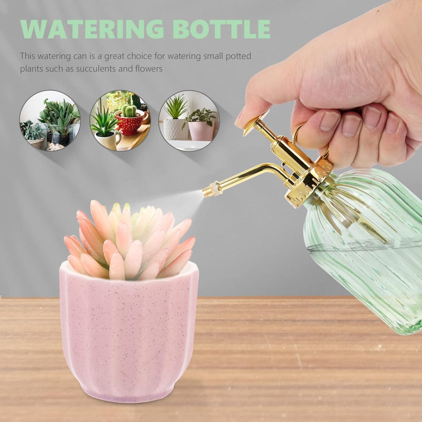 Vintage Glass Watering Bottle Retro Plant Mister with Pump for Indoor and Outdoor Use for Plants Succulents and Bonsai Trees Charming Decoration