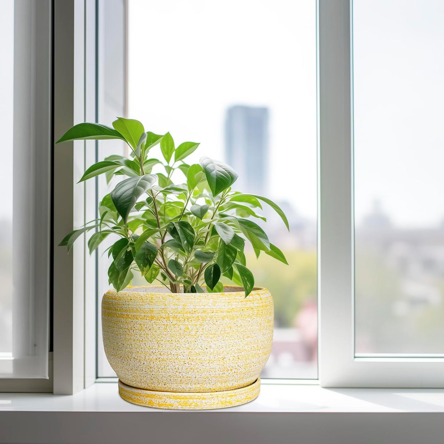 SQOWL Ceramic Planters for Indoor Plants - 10 Inch Plant Pot with Drainage Hole and Saucer, Round Ceramic Flower Pot Outdoor, Decorative Large Planter, Office Decor, Gifts for Women Men, Yellow
