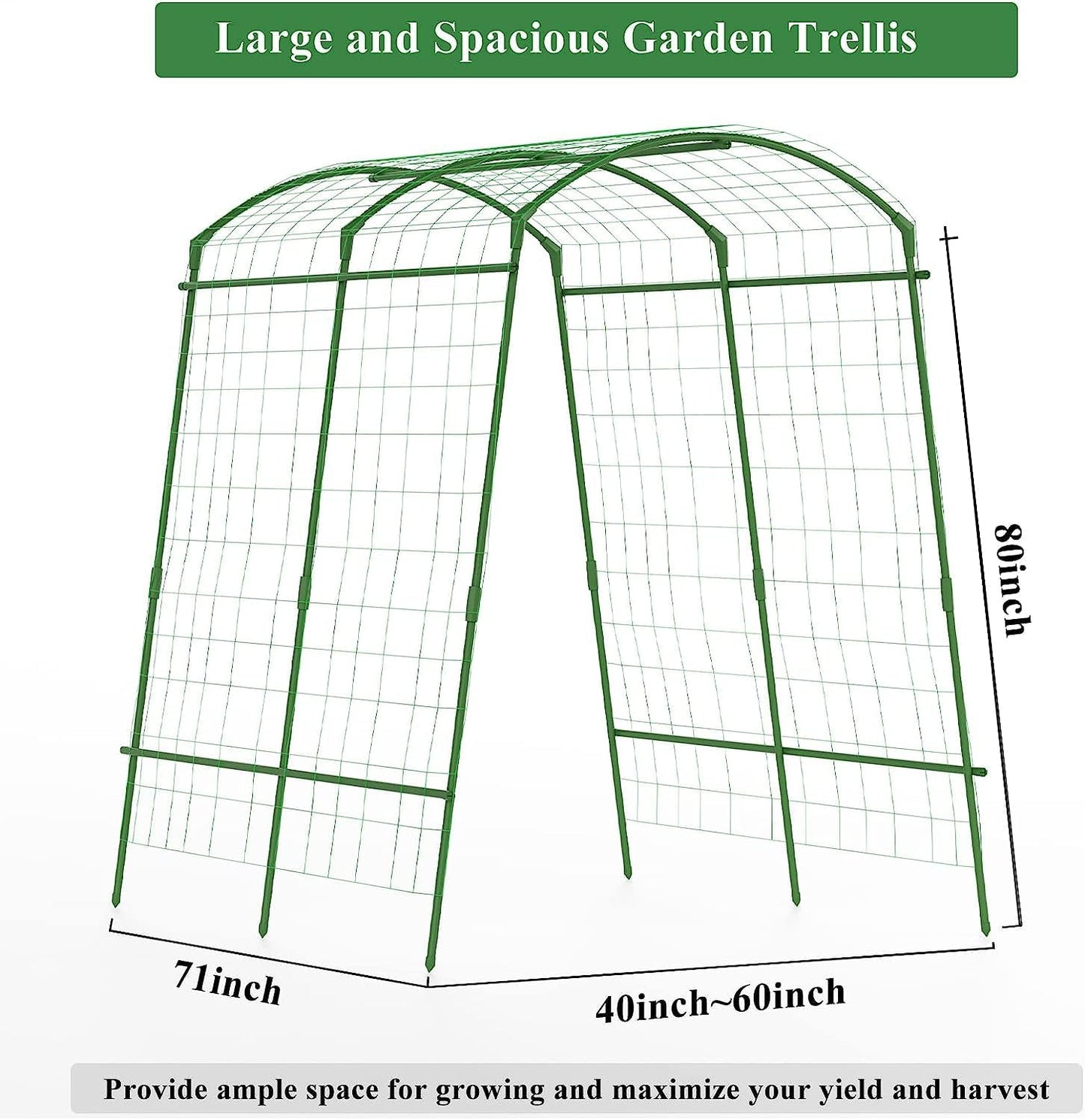 Large Garden Arch Trellis Tunnel Trellis for Climbing Plants Outdoor Vegetables Like Squash Cucumber and Grape