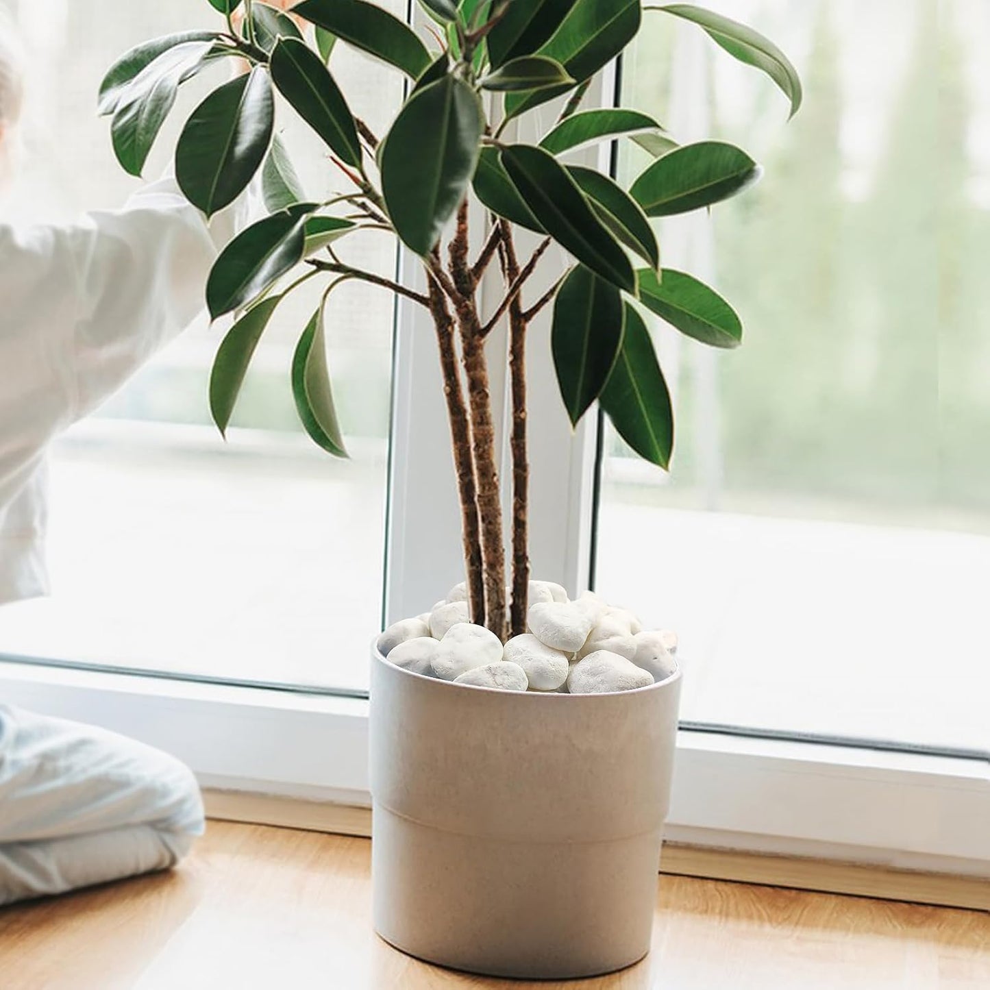 5 lbs White River Rocks for Plants, 1-2 Inch Pebbles for Indoor Plants, Decorative Gravel Stones for Succulent, Cactus, Landscaping, Vases, Aquariums, Crafting and Garden