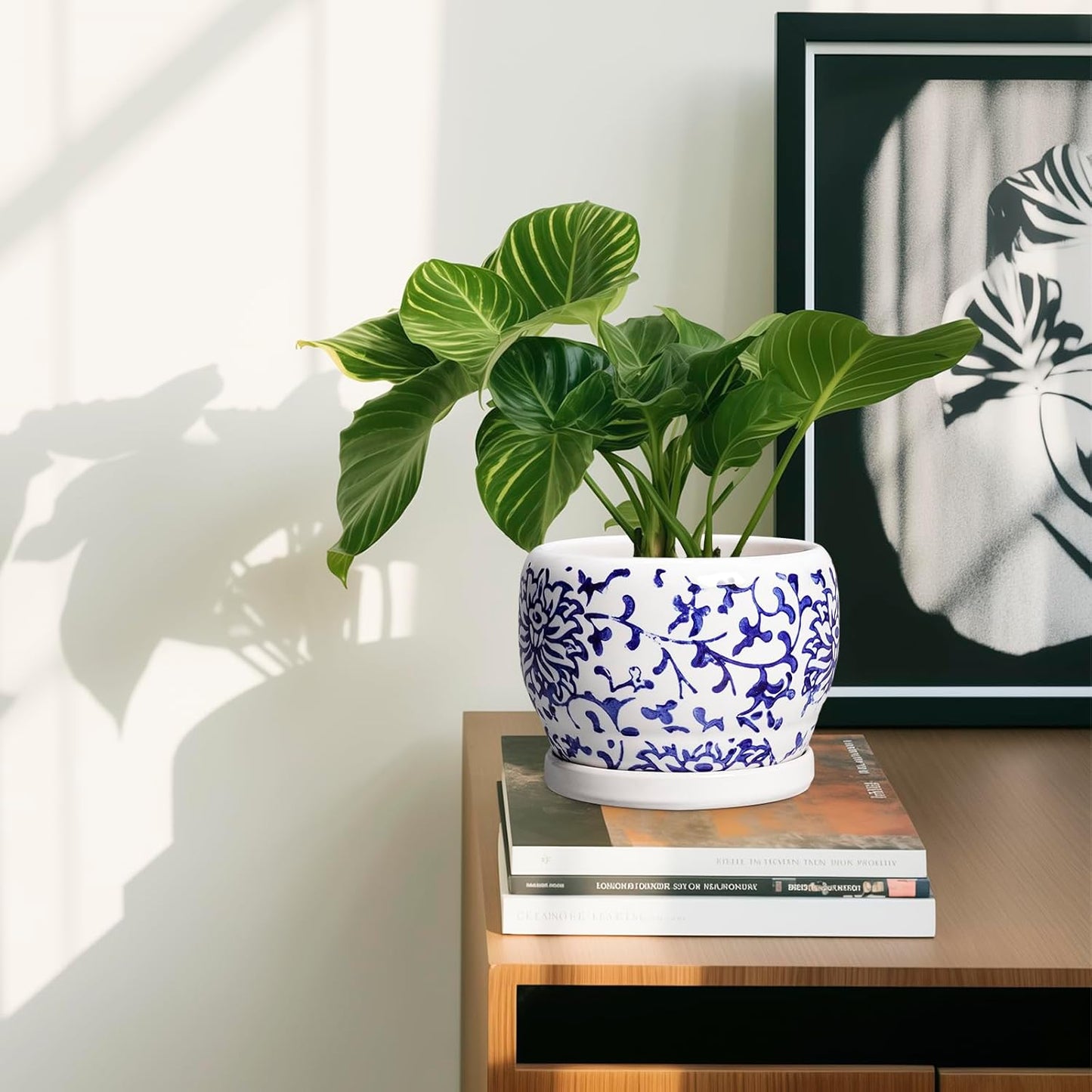 SQOWL 6 Inch Planter - Ceramic Plant Pots Indoor with Drainage Hole and Saucer, Round Ceramic Flower Pot Outdoor, Porcelain Decorative Planter, Backyard Decor, Gifts for Plant Lovers, Blue and White