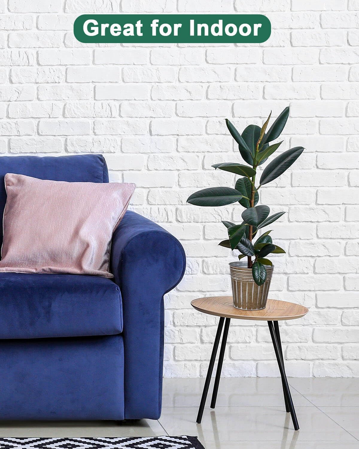 vensovo 5 Inch Brown Metal Rustic Flower Pots - 6Pcs Small Galvanized Planters with Drainage Hole and Rubber Plug, Rustproof Metal Bucket Plant Pots Farmhouse Vintage Style for Decor