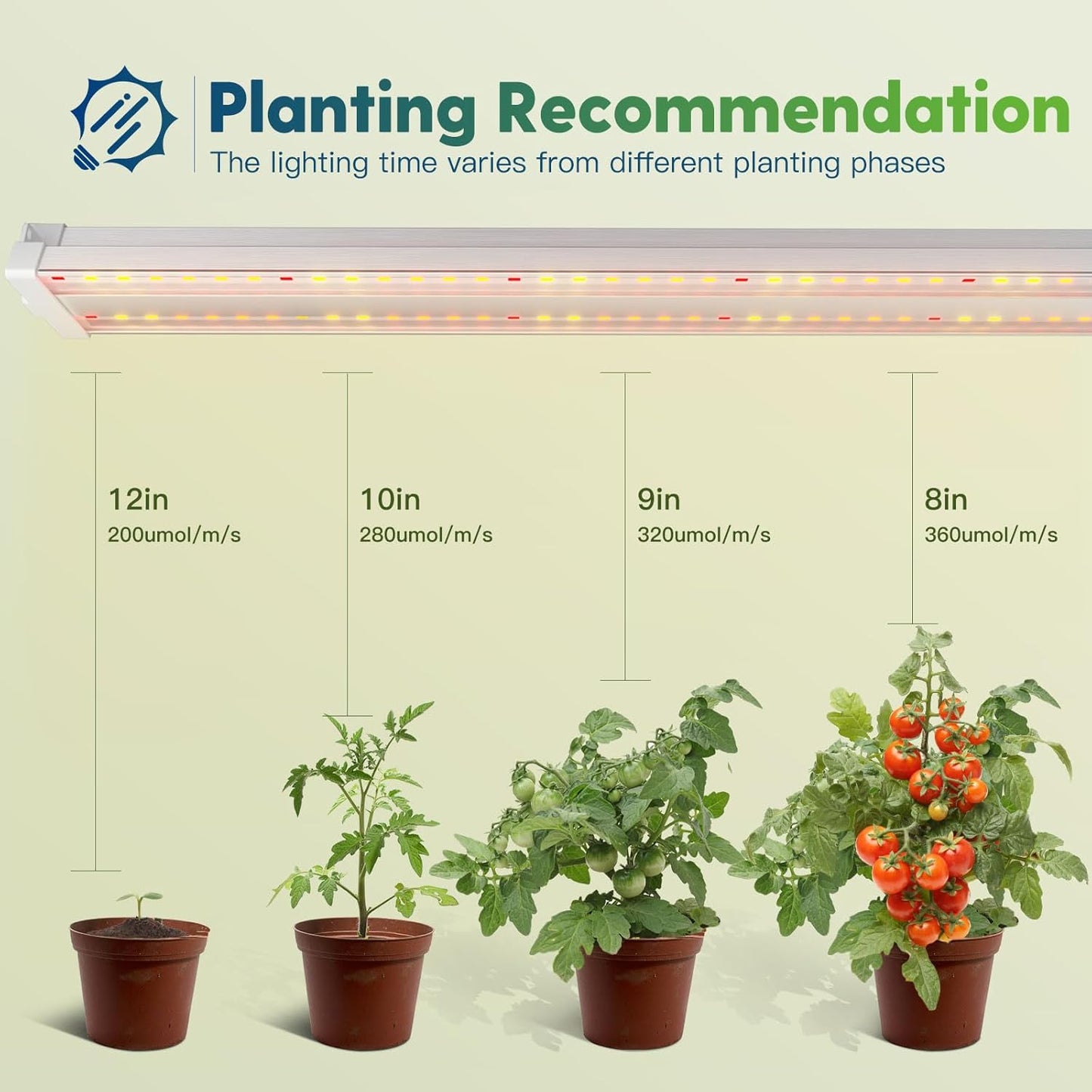 FREELICHT 4 Pack 4ft LED Grow Light with Timer, 60W (350W Equivalent), Sunlike Full Spectrum Integrated Plant Light for Hydroponic Indoor Plant Seedling Veg and Flower, Plug in with 3 Timing Modes