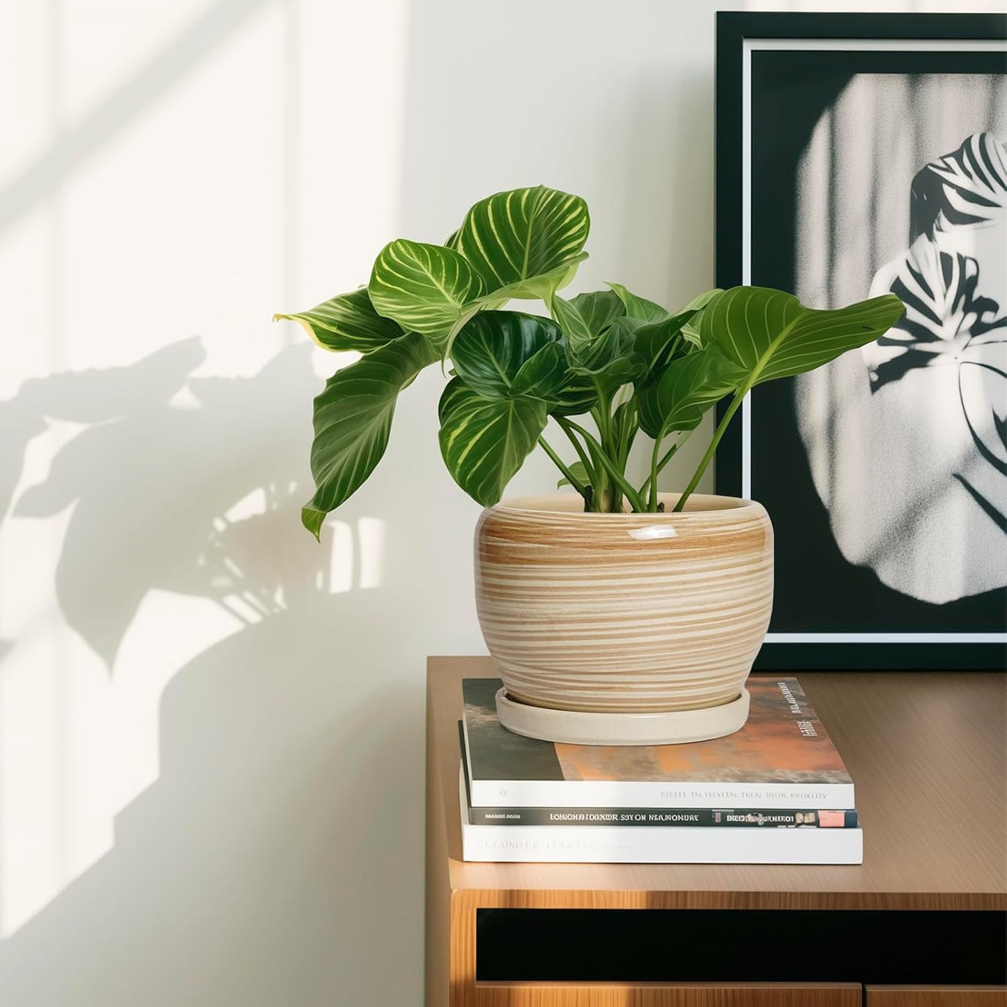 SQOWL Ceramic Pot for Plants - 6 Inch Indoor Planter with Drainage Hole and Tray, Round Modern Flower Pot Outdoor, Decorative Succulent Planter, Kitchen Decor, Gifts for Plant Lovers, Yellow