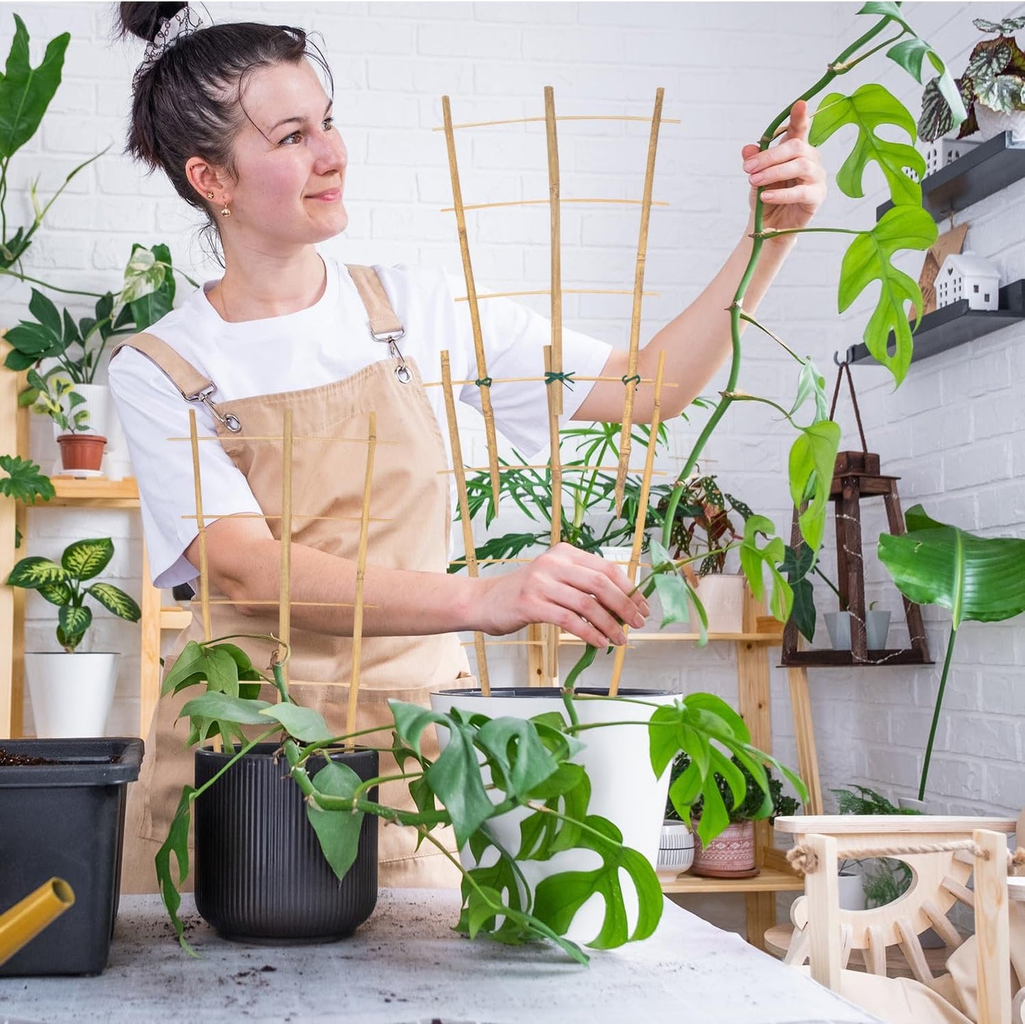 Garden Bamboo Trellis 16 Inch Fan Shaped Small Plant Trellis,Natural Wood Trellis for Climbing Plants Orchid Monstera Indoor Potted Plants-3 Pack