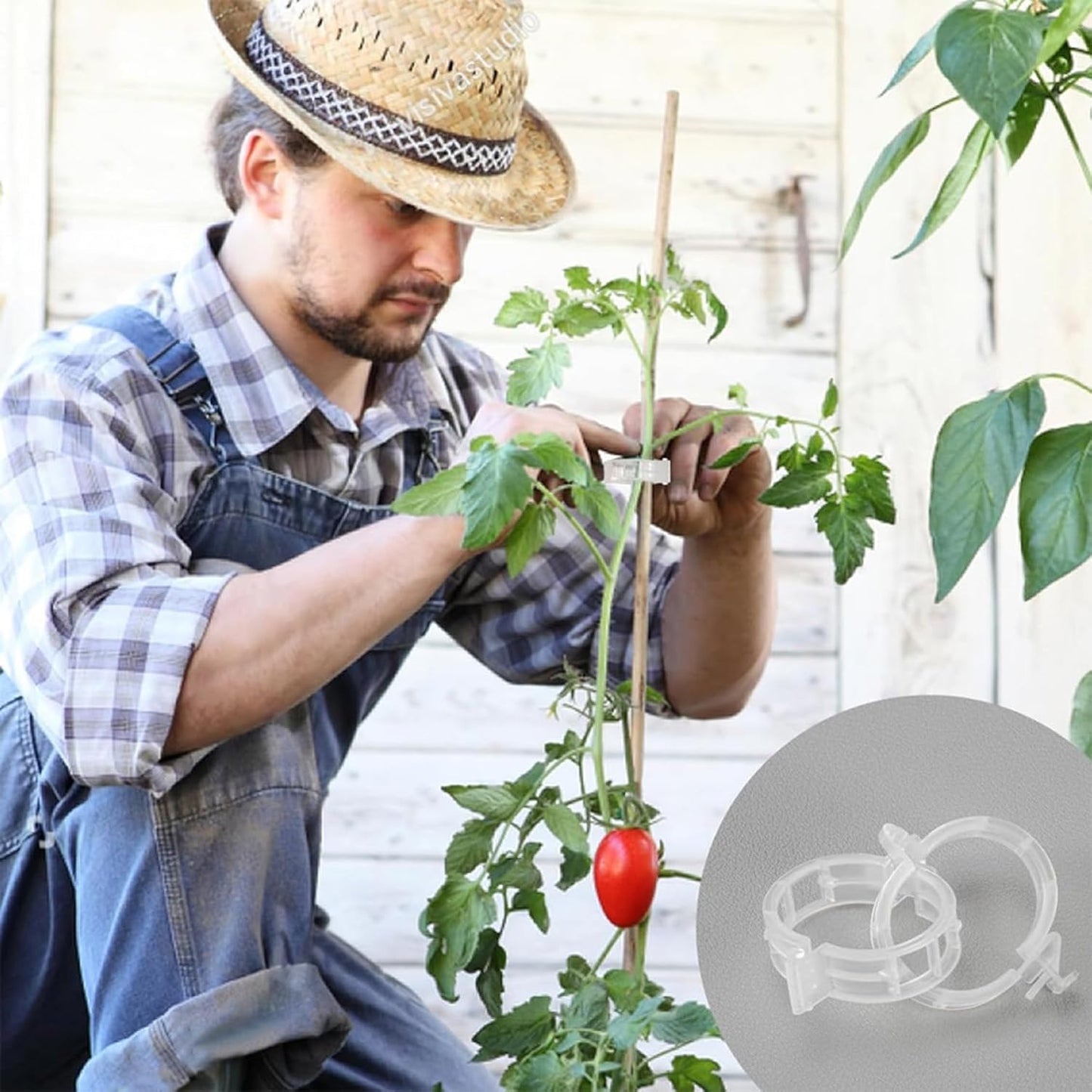 220Pcs Tomato Clips, Plant Support Garden clips, Trellis Clips Plant Support Clip, Vegetable Cages and Supports, Garden Trellis for Climbing Vine Plants, Supports Clip for Tomato Grape Melon