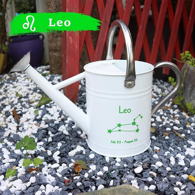Metal Watering Can for Outdoor and Indoor Plants, Watering Can Decor, 1 Gallon (Leo)