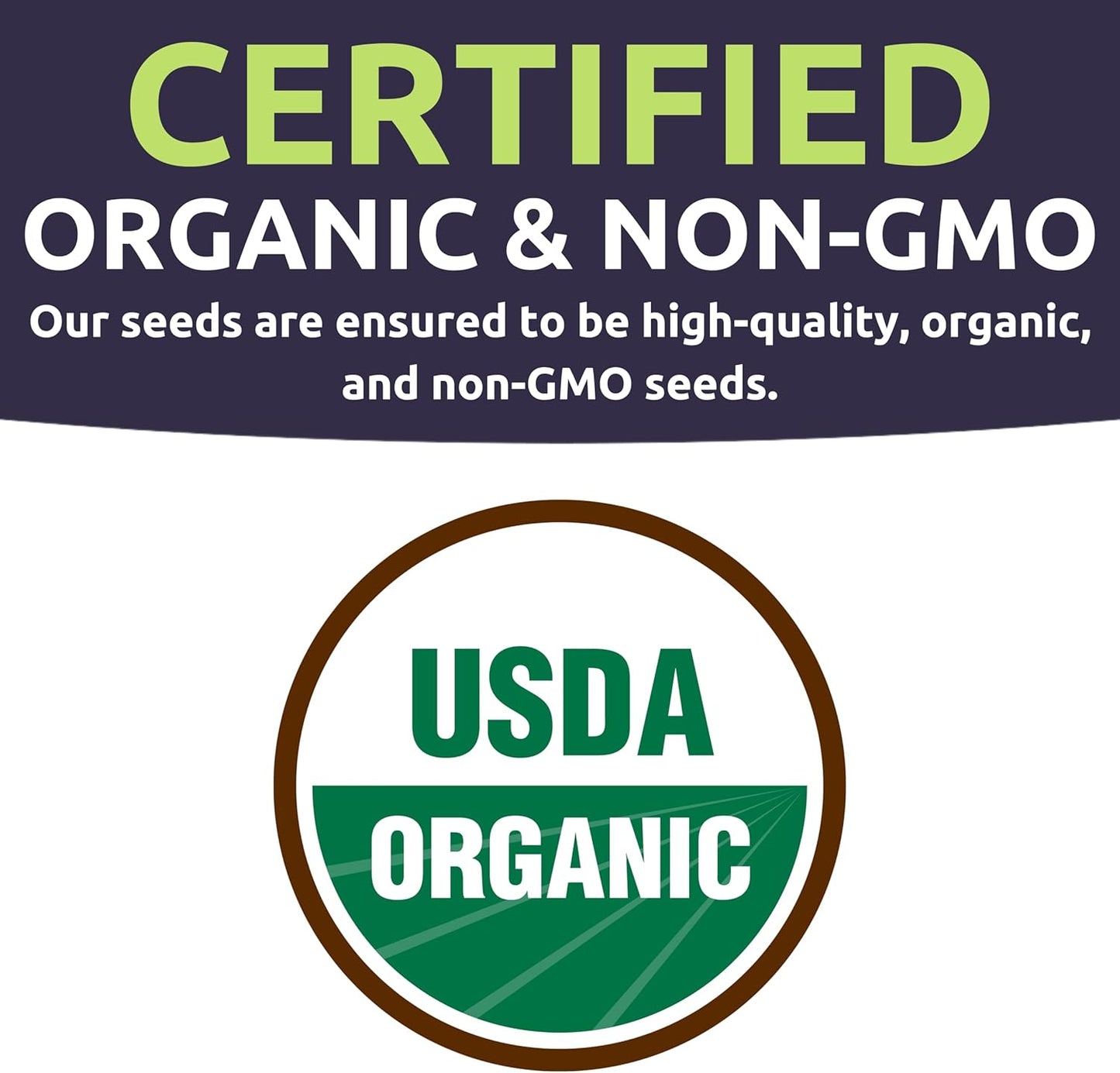 Organic Sweet Pepper Seeds Variety Pack - 6 Individual Packs - 2025 Season - Red, Orange, Yellow, Green and More! for Indoor & Outdoor Planting (Non-GMO, Certified Organic)