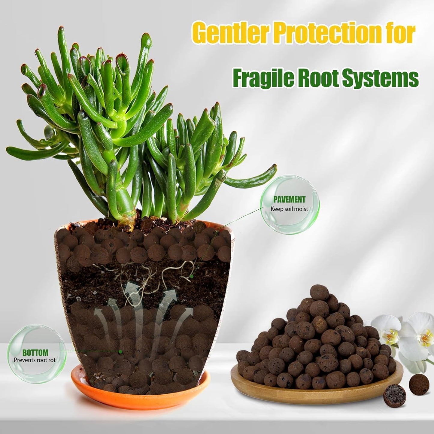 Expanded Clay Pebbles for Plants 1qt, Natural Organic Expanded Grow Media for Hydroponics, Drainage, Decoration, Aquaponics and Other Gardening Essentials