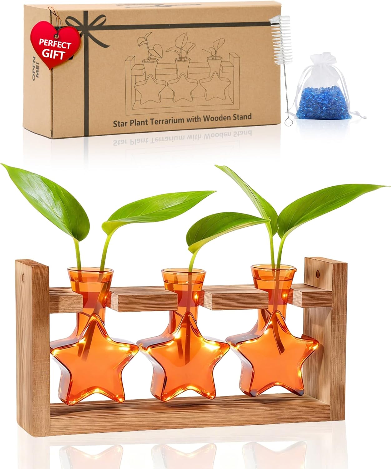 Nacome Plant Terrarium with Wooden Stand,Star-Shaped Planter Propagation Station Glass Vase for Home Office Decor- Unique Gifts for Plant Lovers Women Mom(Orange)