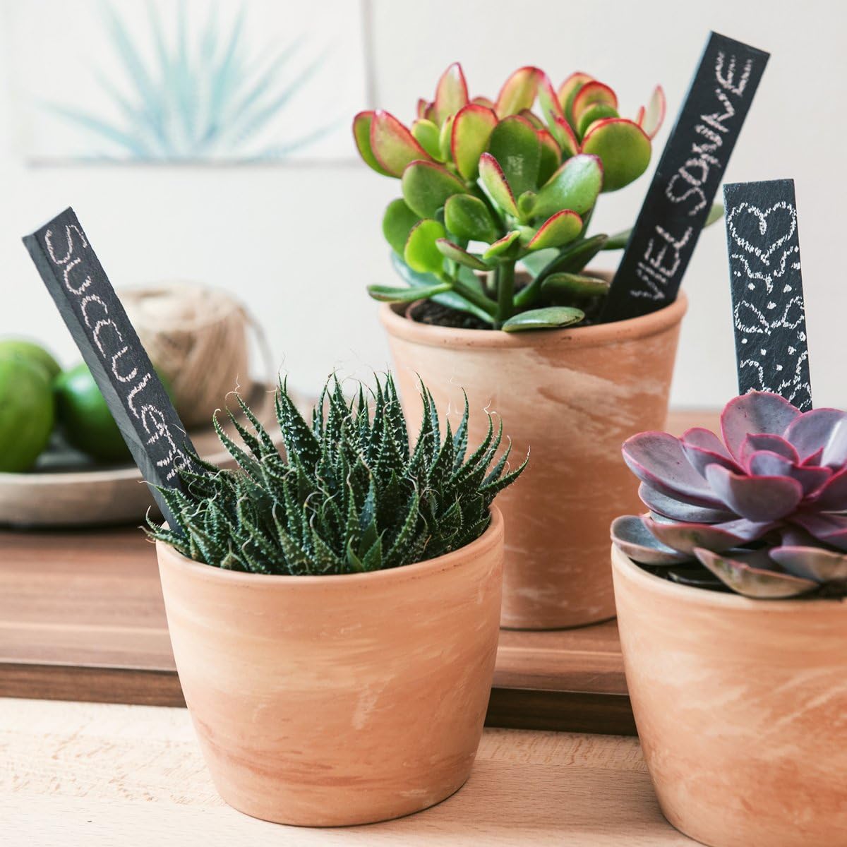 Navaris Slate Plant Labels (10 Pieces) - Set of 10 Natural Garden Markers for Herbs, Pots and Garden - Reusable Tags with Chalk - Size S