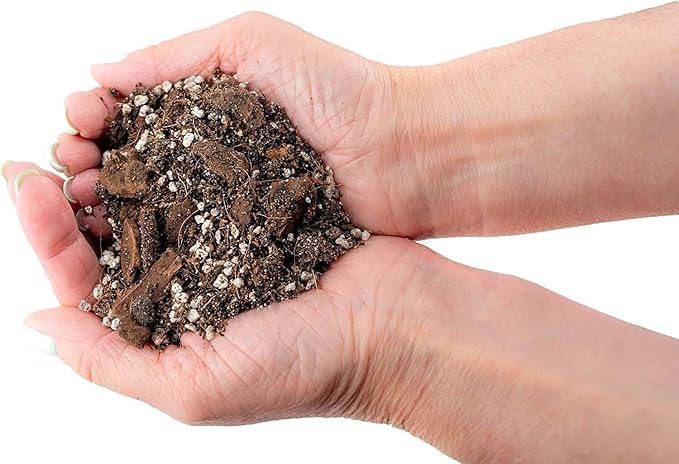 Banana Tree Potting Soil - Professional Grade Mix for Growing Delicious Bananas - Enhanced with Essential Nutrients for Bountiful Harvests (3 Quart)