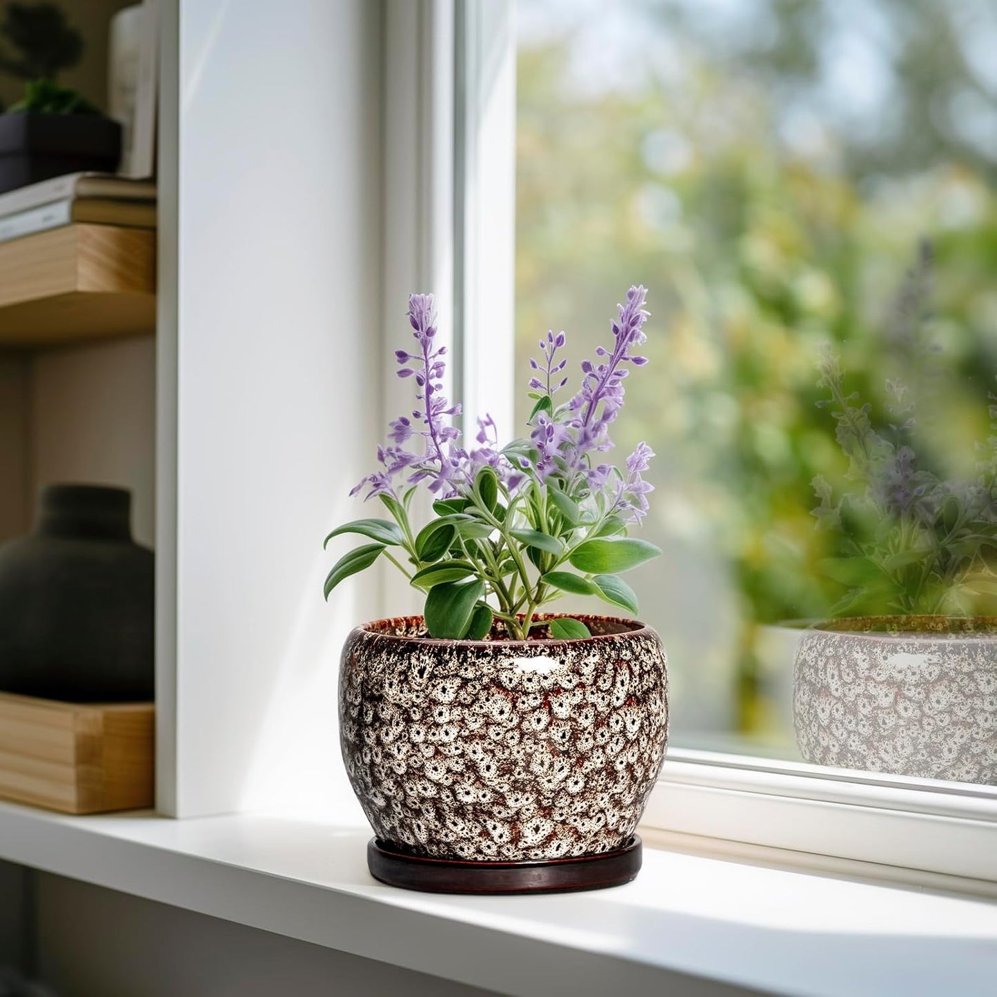 SQOWL Ceramic Plant Pots - 6 Inch Ceramic Planter for Indoor Outdoor, Small Flower Pots with Drainage Hole and Saucer, Decorative Round Planter, Home Office Decor, Plant Lover Gifts, White