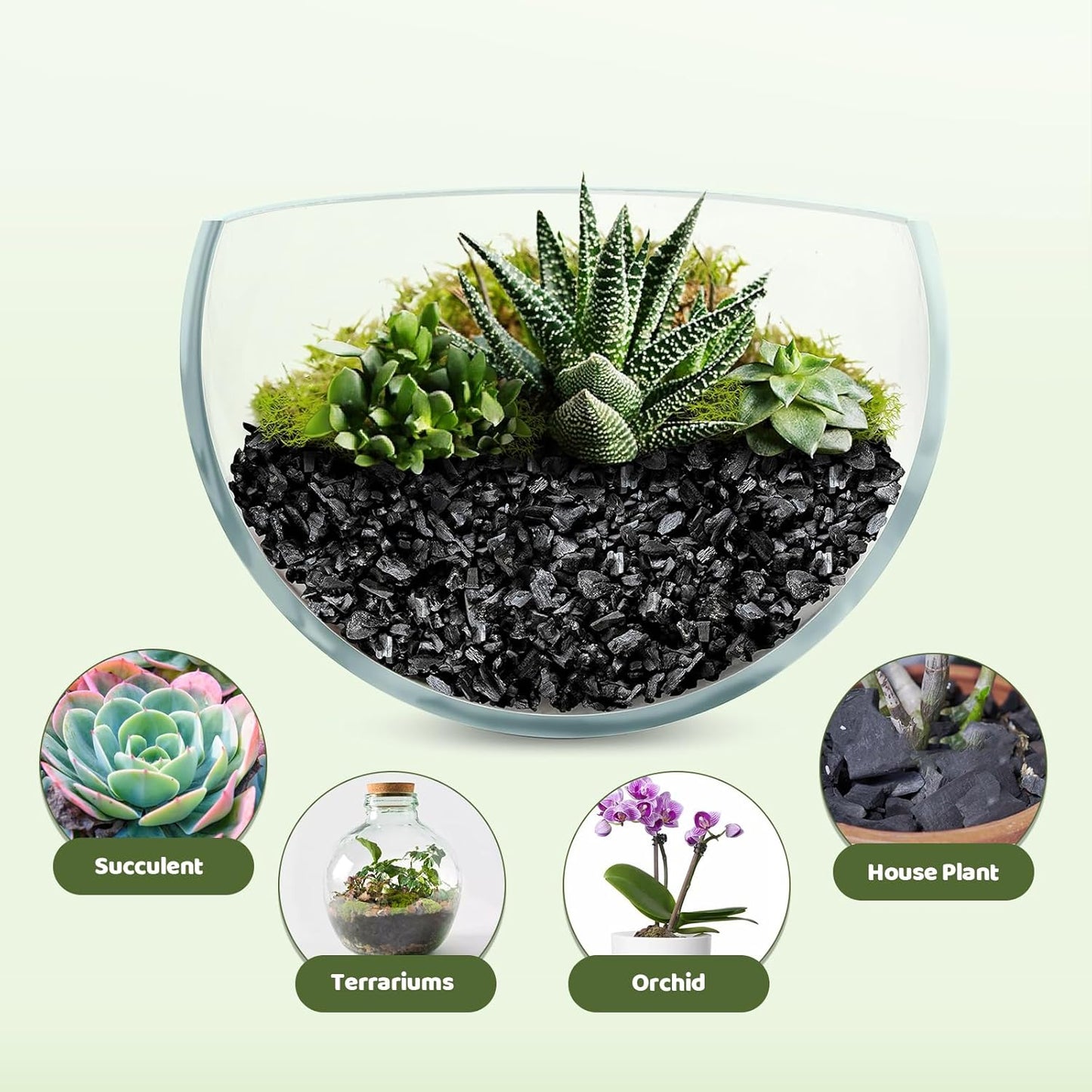 Horticultural Charcoal 4qt for Plants, Actived Charcoal Terrarium Supplies, Suitable for Indoor Plants, Succulent, Orchid, Cactus, Bonsai