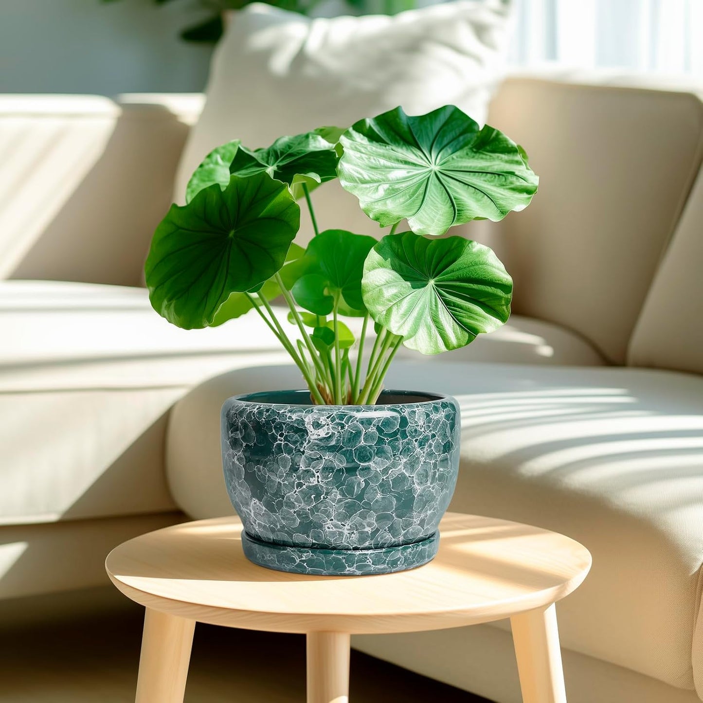 SQOWL 8 Inch Plant Pot - Ceramic Planter for Indoor Plants, Decorative Flower Pot with Drainage Hole and Saucer, Round Planter Outdoor, Room Patio Decor, Garden Gifts for Women, Green