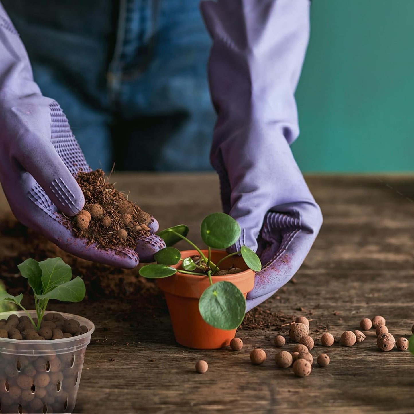 Expanded Clay Pebbles for Plants 1qt, Natural Organic Expanded Grow Media for Hydroponics, Drainage, Decoration, Aquaponics and Other Gardening Essentials