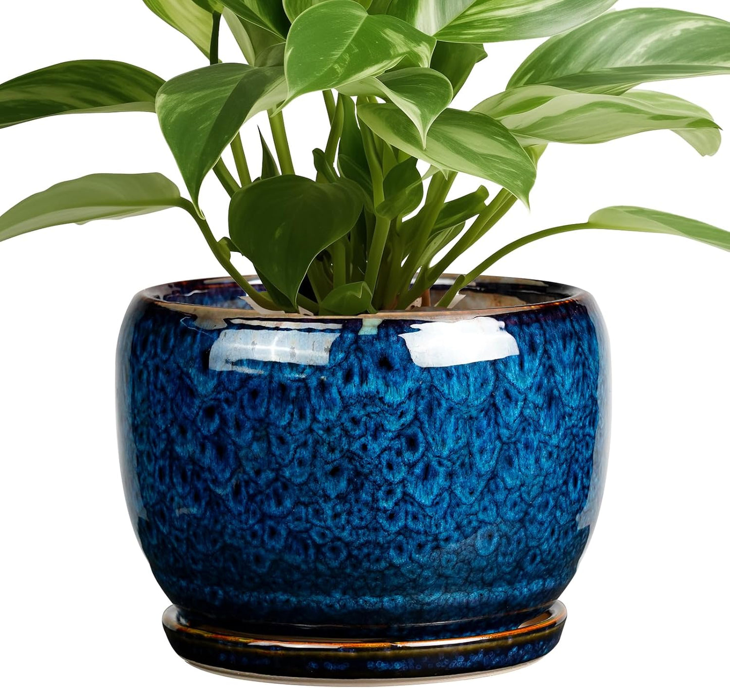 SQOWL Ceramic Planter 8 Inch - Pot for Indoor Outdoor Plants Round Ceramic Plant Pot with Drainage Hole and Saucer Modern Flower Pot Glazed Blue