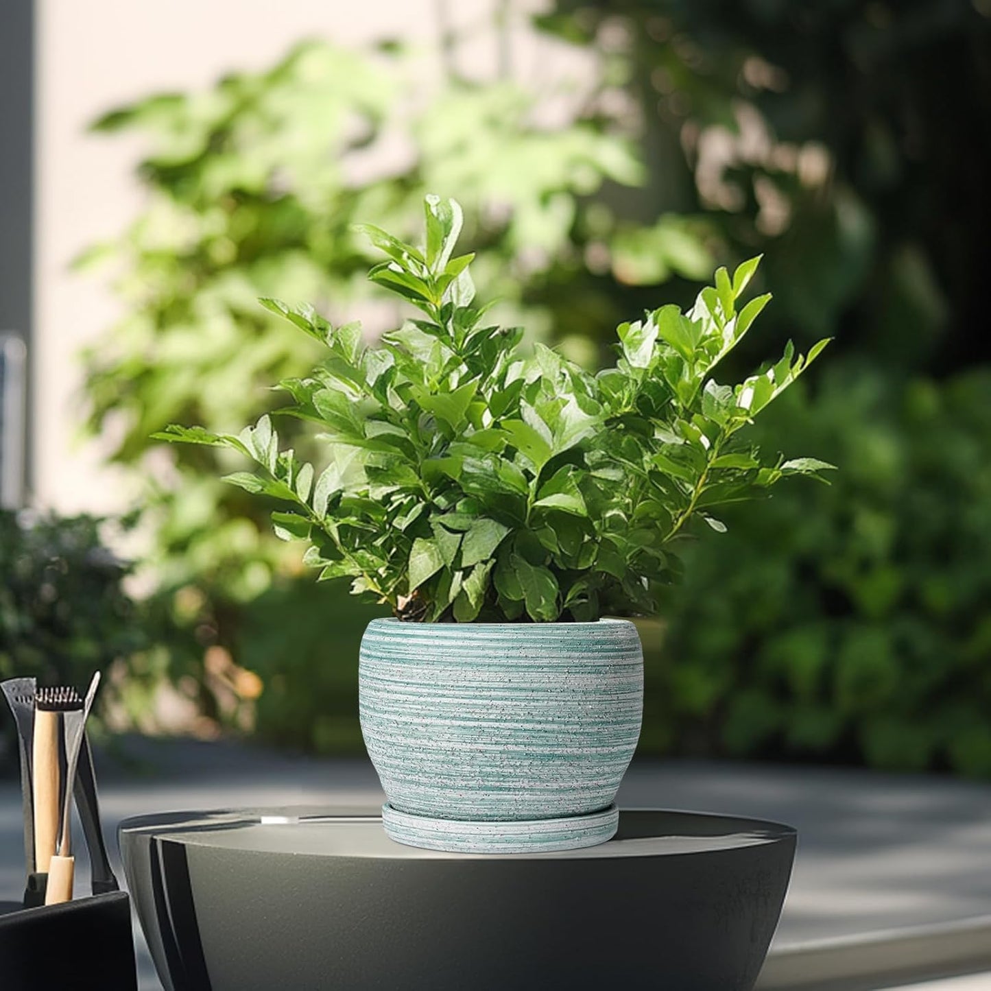 SQOWL Ceramic Plant Pots - 6 Inch Planter with Drainage Hole and Tray, Round Flower Pot for Indoor Plants, Decorative Succulent Planter Outdoor, Home House Decor, Gifts for Women Men, Green