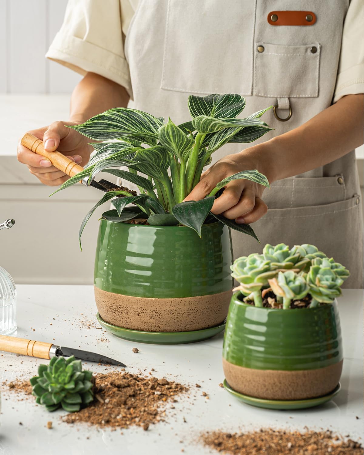 3 Piece Ceramic Small Planter for Indoor Plants - Succulent Plant Pots with Drainage Holes and Saucers - 3.4/4.7/6.1 inch Modern Decorative Small Flower Pots for Bamboo, Succulents and Herbs, Green