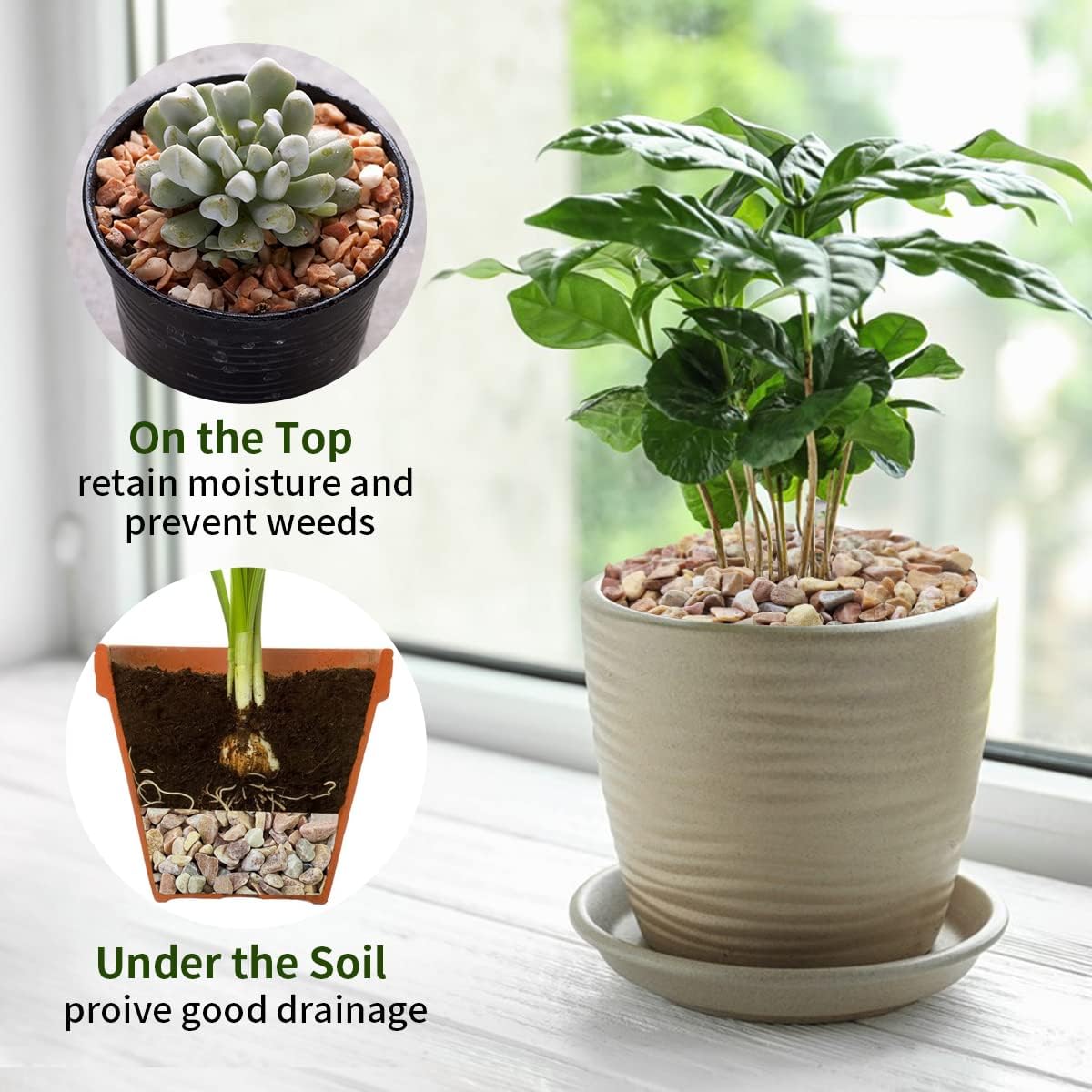 5lbs Natural Pea Gravel Pebbles, 3/8 Inch Decorative Succulent Rocks Pebbles for Indoor Plants. River Rocks for Vase and Outdoor Garden Landscaping Rocks