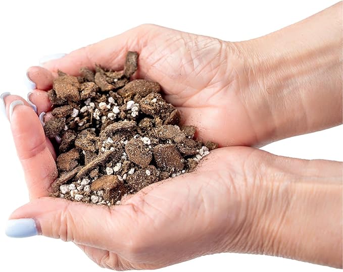 Professional Succulent Soil Premium All Purpose Blend | Pre-Mixed Ready to Use for Cactus and Succulents | Sphagnum Peat Moss, Perlite, New Zealand Pine Bark - Made in USA - 5 Quart