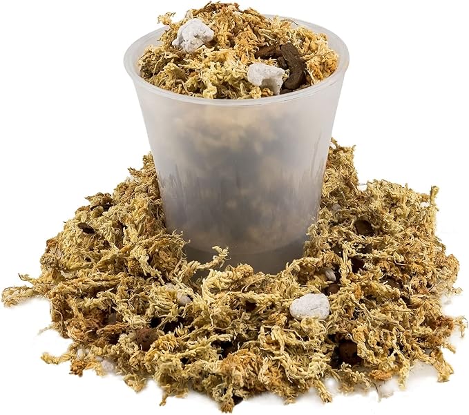 Premium Phalaenopsis Imperial Orchid Potting Mix - Hand Mixed in Small Batches | Great for Phalaenopsis of All Kinds - by GARDENERA - 5 Quart Bag