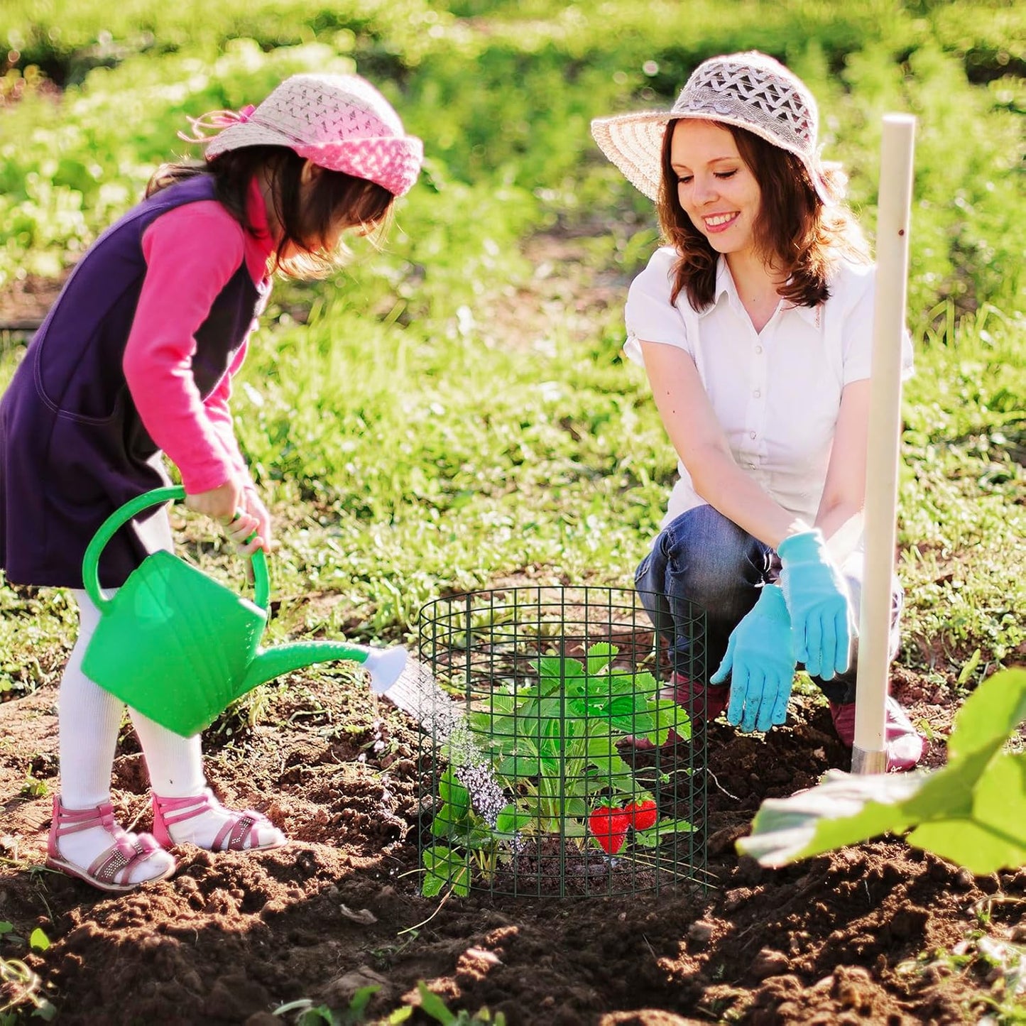 10 Packs 12" x 12" Wire Plant Protectors Wire Plant Cages Metal Mesh Plant Cage Chicken Wire Cloche with Ground Stakes and Nylon Ties Protect Plants,Garden,Shrubs and Vegetables from Animals-30 PCS