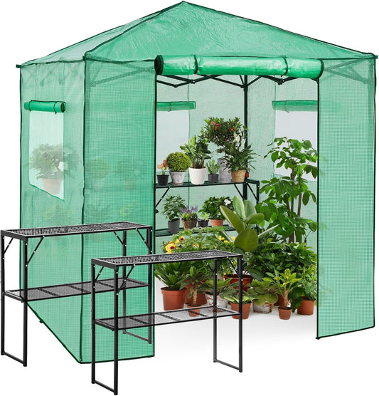 EAGLE PEAK 7x7 Pop up Greenhouse Portable Walk-in Outdoor Gardening Green House with 2 Foldable Shelves, Roll-up Zipper Entry Door and 3 Mesh Windows, PE Cover, Green/Clear