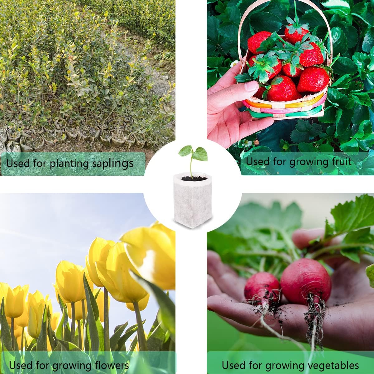 gardtree Plant Nursery Bags 7” x 7.87” 150PCS, Non-Woven Biodegradable Plant Grow Bags Fabric Seedling Starter Pots for Vegetable Flower Fruit Saplings Tree, Home Garden Supply