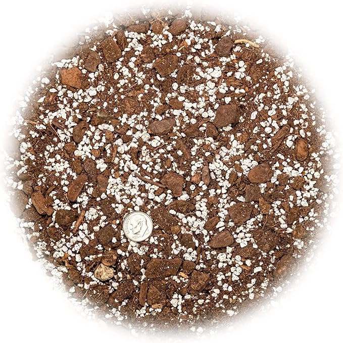 Palm Tree Potting Mix - The Ultimate Soil for Strong and Healthy Palms - Top Choice for Palm Tree Growers [10 Quart Bag]