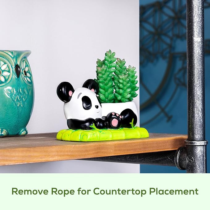 Panda Hanging Planter, Succulent Pot with Drainage, 6 ft Natural Fiber Cord, Ceramic Bear Animal Holder for Cacti & Small Plants, Decorative Panda Gift Decor for Women Men