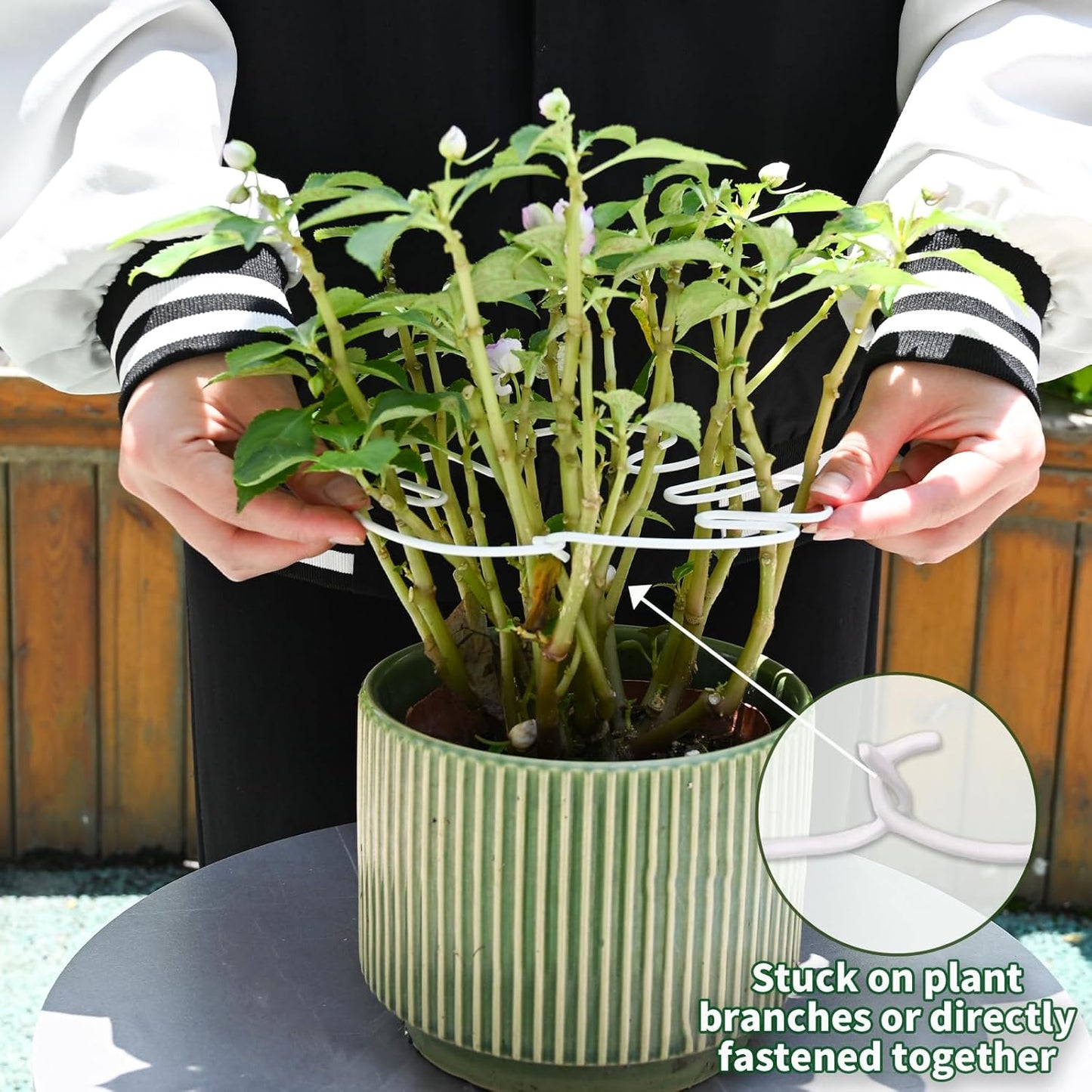 White Monstera Plant Stem Support - 5PCS 7.3x6.25in Durable Adjustable Garden Stake for Indoor Plants, Fishbone Cactus Holder, Innovative Leaf Clip Set, Ideal Tool for Healthy Plant Growth