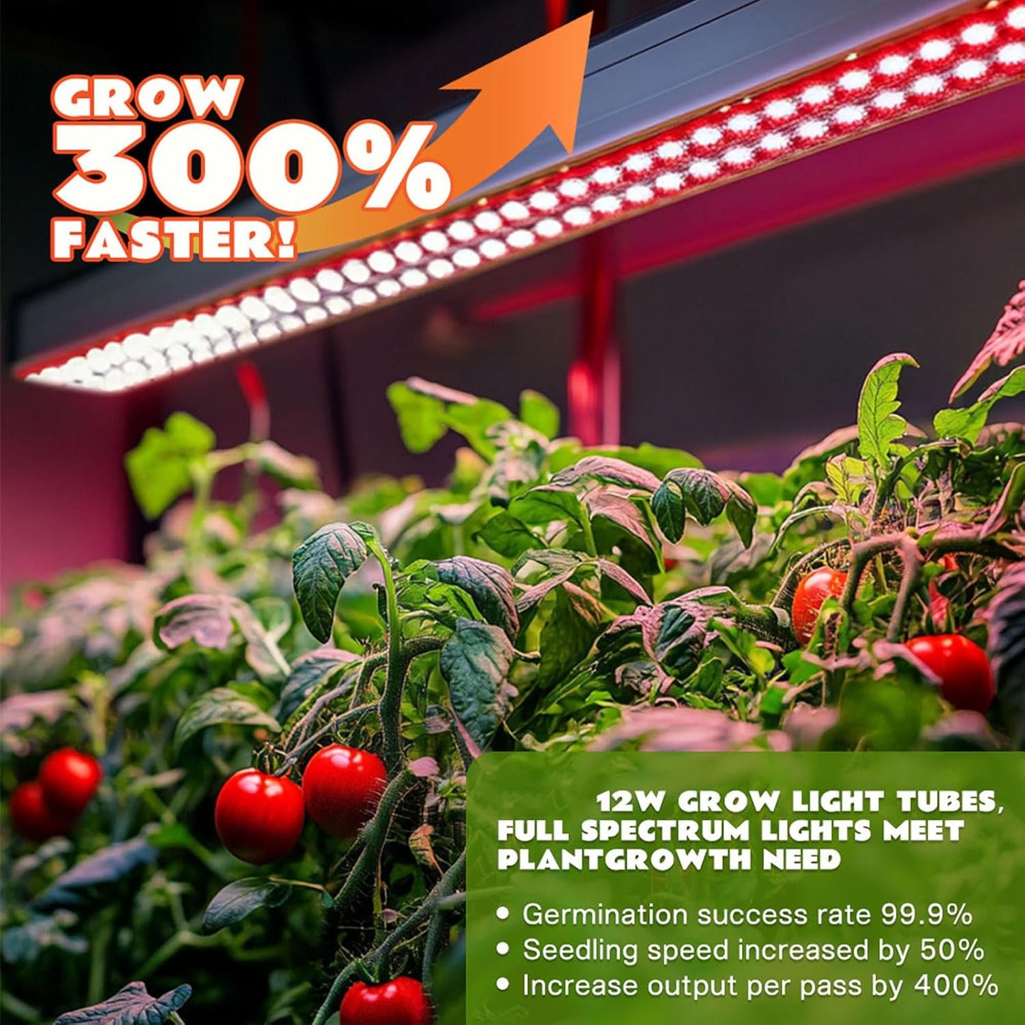 Large 3-Tier Indoor Hydroponics System Kit with Grow Lights, Double Water Pump Indoor Garden, and 72 Large Pods for Vegetables Herbs Microgreens