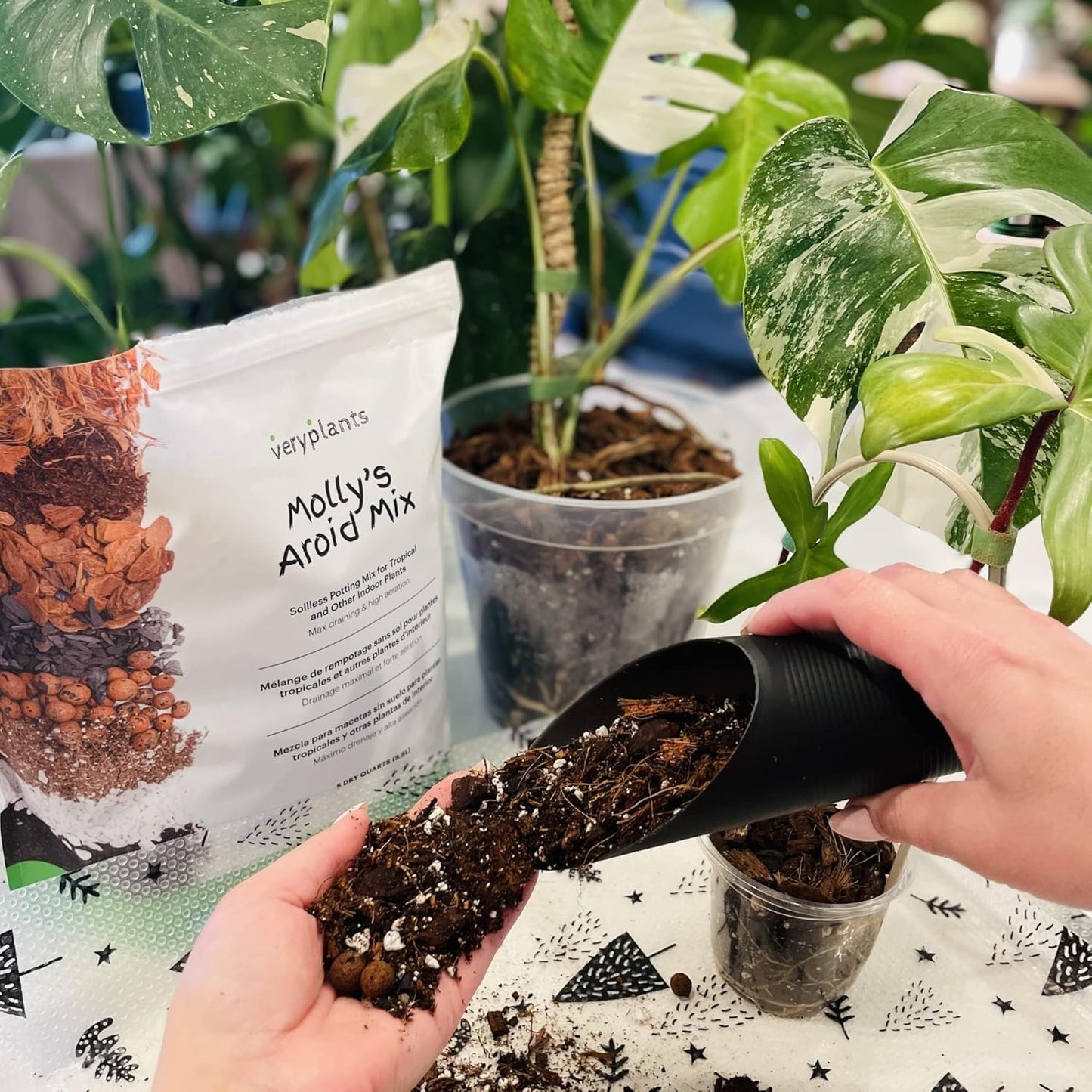 Molly's Aroid Mix - Premium Soilless Potting Mix for Houseplants - Fast Draining, Chunky & Easier to Water vs. Soil for Indoor Plants - with Bark, Coco Chips, Worm Castings, Mycorrhizae 5 Dry Quarts