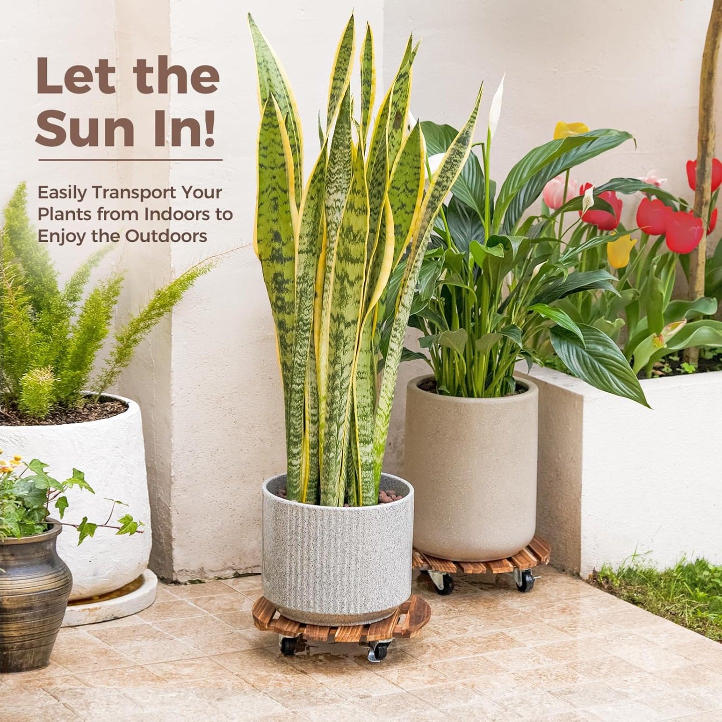 Bamworld Plant Stand Outdoor Rolling Tray Plant Caddy with Wheels 12in Plant Caster with Wheels Planter Caddy Flower Cart Plant Dolly for Heavy Duty Large Plants Plant Rollers (2 Pack )