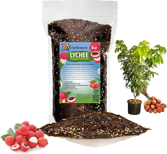 Premium Lychee Potting Soil Mix - Perfect Balance of Nutrients, Drainage, and Aeration for Thriving Lychee Trees - 5 Quart