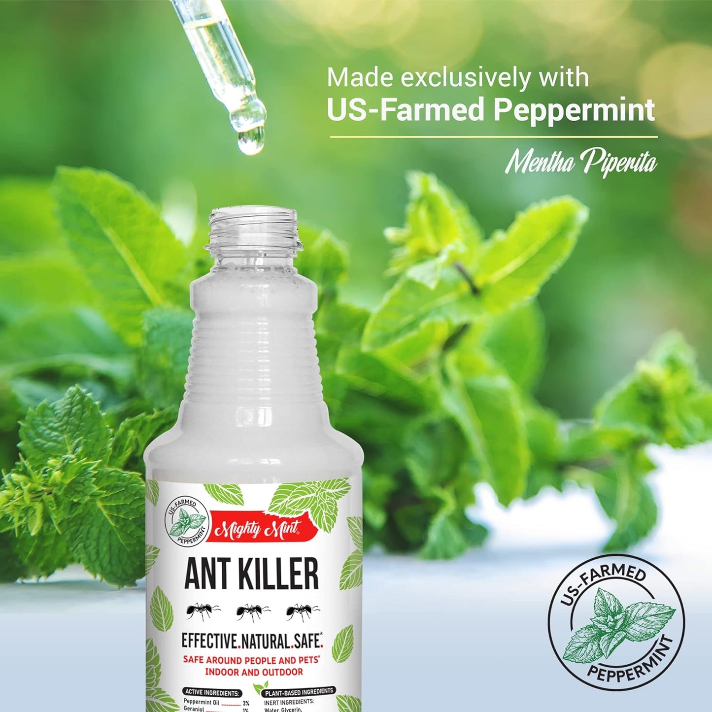Mighty Mint Peppermint Oil Ant Killer Spray – Natural Ant Repellent for Indoor & Outdoor Use – Plant-Based Insect & Pest Control – 16 oz