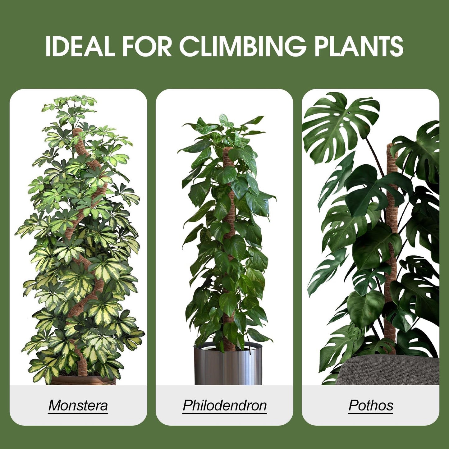 Moss Pole, 63 Inch Bendable Moss Pole for Plants Monstera, Moss Poles for Climbing Plants, Handmade Coco Coir Pole Plant Sticks Support Plant Stakes for Indoor Plants to Grow Upwards