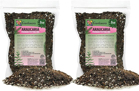 Premium Araucaria Potting Soil Mix - Perfect Balance of Nutrients, Drainage, and Aeration for Healthy Araucaria Trees - 10 Quart