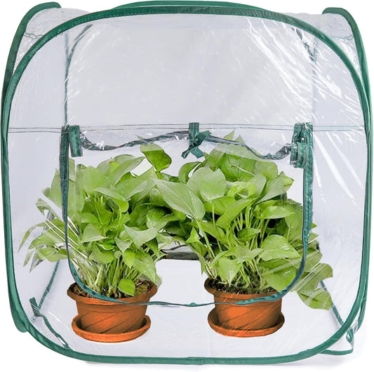 Medium Pop Up Greenhouse, Versatile Greenhouses for Outdoors or Indoor Greenhouse.