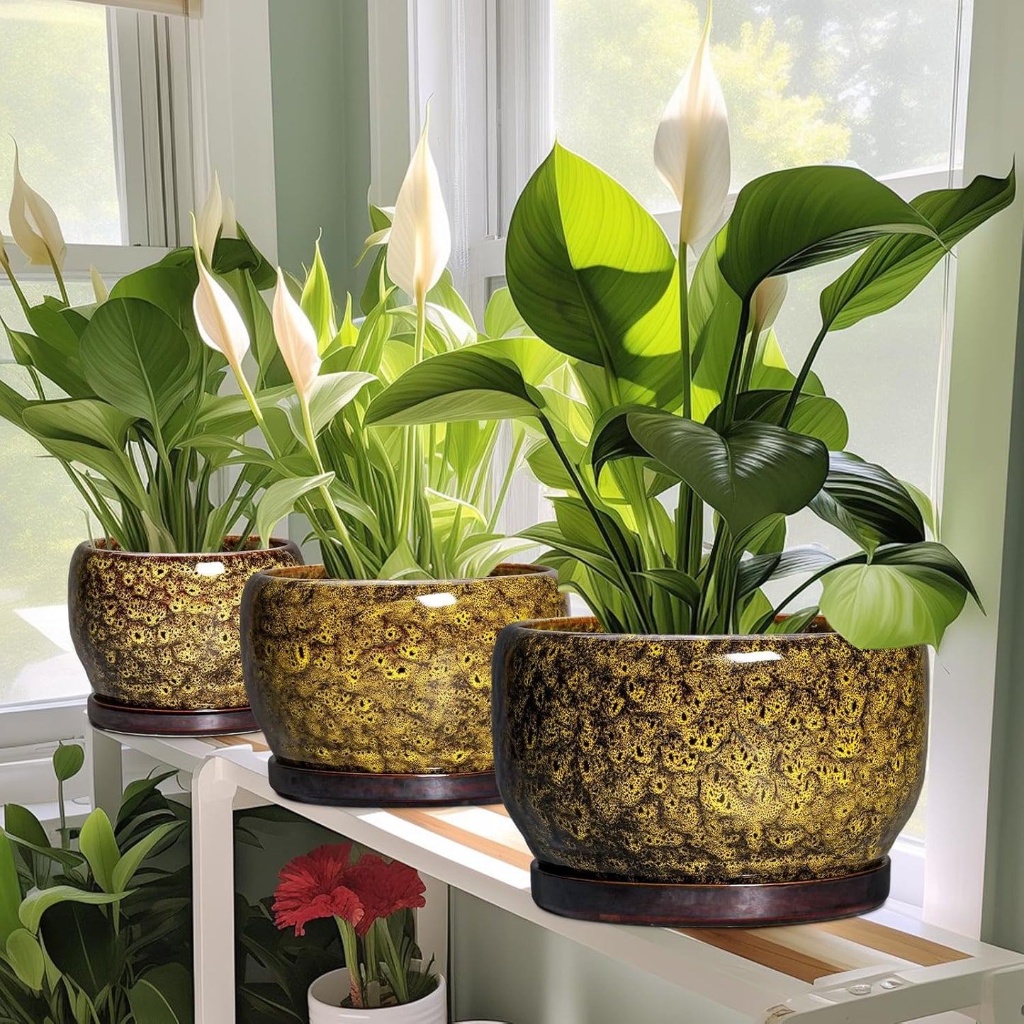 SQOWL Ceramic Flower Pots - 8 inch Ceramic Planter for Indoor Plants, Decorative Plant Pots with Drainage Hole and Saucer, Round Planter Outdoor, Porch Backyard Decor, Housewarming Gifts, Yellow