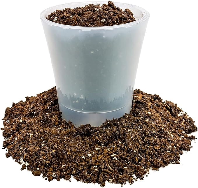 Money Tree Potting Soil - 20 Quart - Soil Mix for Planting or Repotting Guiana Chestnut, Soil Blended to Properly Grow Money Tree Plants (4 Bags of 5 Quart)