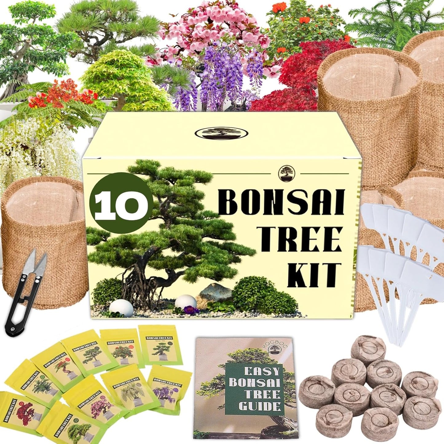 Premium Bonsai Tree kit - 10 Types Bonsai Tree Growing Set for Starter with Soil, Pots, Scissor, Plant Makers, Grow Greenery Indoor, Beginner Planting Kit Plant Gifts