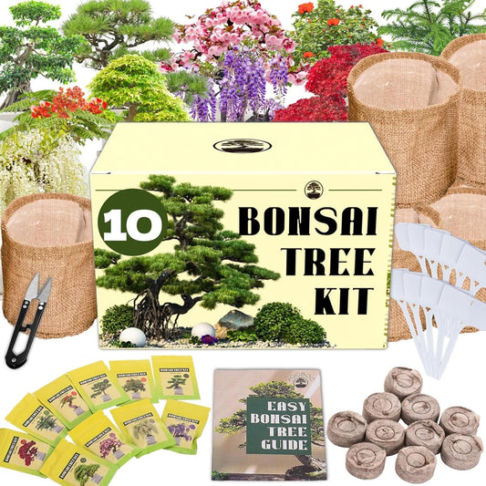 Premium Bonsai Tree kit - 10 Types Bonsai Tree Growing Set for Starter with Soil, Pots, Scissor, Plant Makers, Grow Greenery Indoor, Beginner Planting Kit Plant Gifts