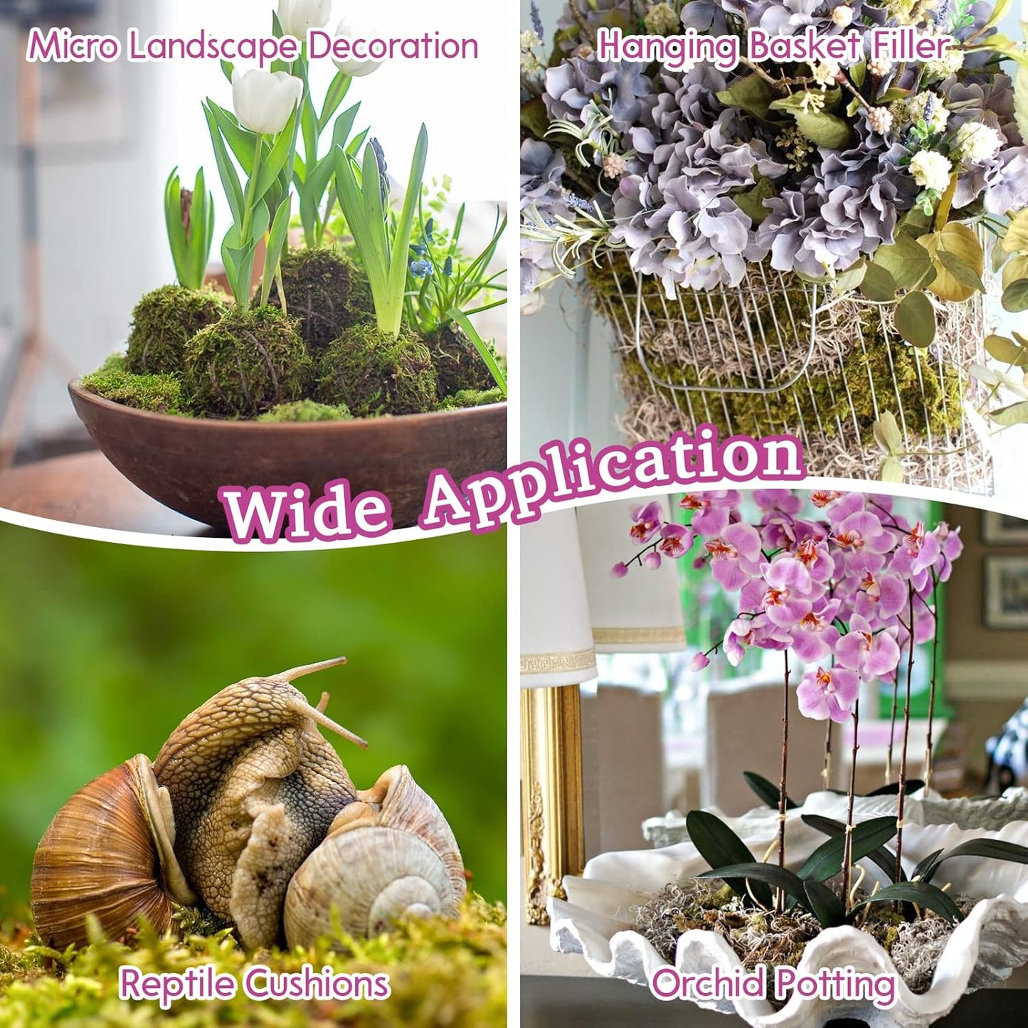 Riare 2.2 LB Premium Sphagnum Moss for Plants- 40QT Natural Long Fibered Sphagnum Peat Moss Plants Moss Dried, Carnivorous Plants Moss Orchid Potting Mix for Orchids, Carnivorous Plants, Succulent