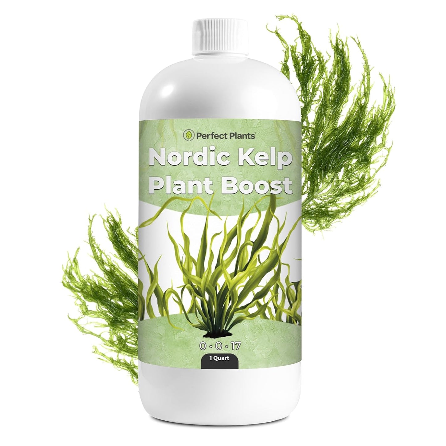 Nordic Kelp Boost Liquid - Perfect Plants (1 Quart)