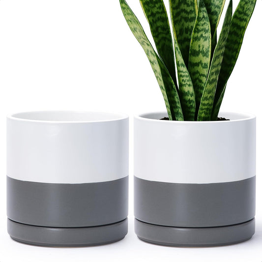 D'vine Dev Set of 2 Plants Pots, 8.2 Inch Ceramic Planter Pot for Plants with Drainage Hole and Saucer, White/Speckled Grey, 94-V-D-6