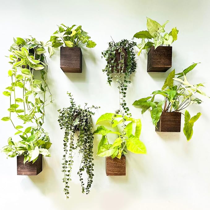 LaLaGreen Wood Planter Boxes for Plants (8 Pack, 4x4 Inch) Small Square Wall Mounted Planters for Indoor Plant, Herb Wooden Box Hanging Flower Pot Plant Holder Outdoor Fence Vertical Garden Home Decor