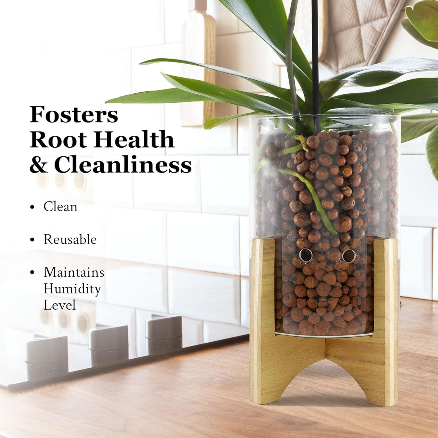 Pot & Pebble - C6 Glass Planter with Decorative Wood Base - Plant Propagation Station with Water Level Control - Plant Cutting Holder for LECA Clay Pebbles/Similar Media - Semi Hydroponic Planter